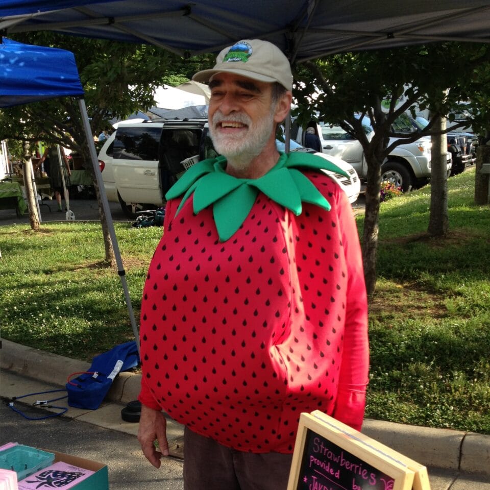 strawberry costume