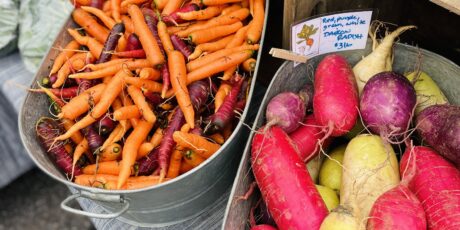 radishes and carrots from Ten Mile Farm