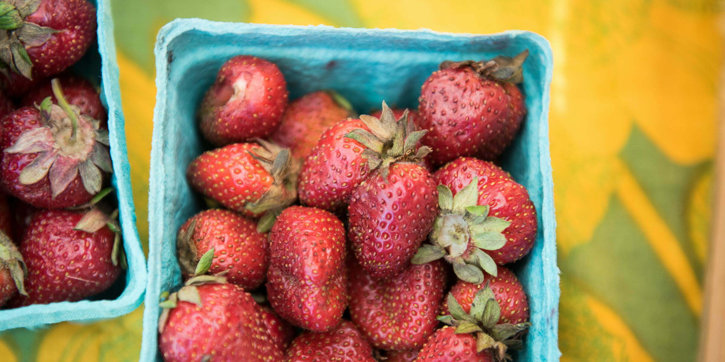 strawberries, photo by Camilla Calnan Photography