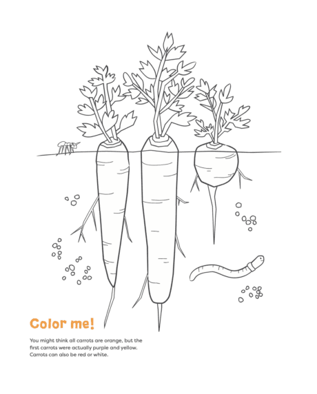 Carrots coloring page
