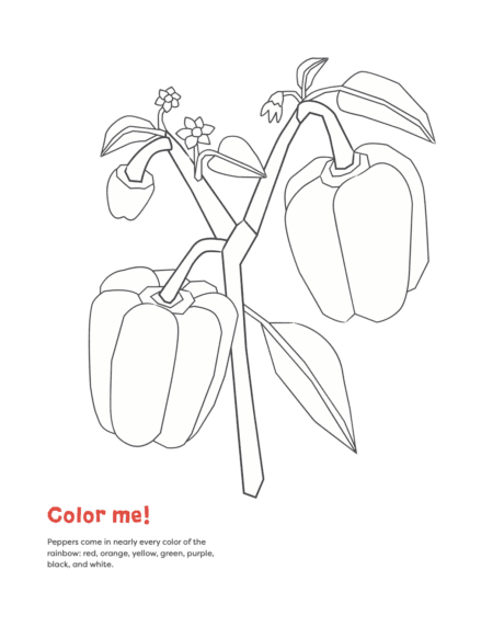 Peppers coloring page