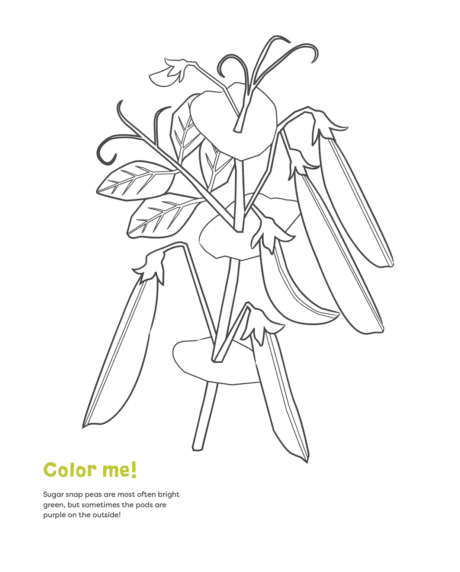 Snap peas coloring page