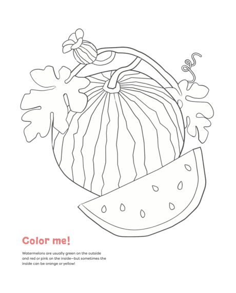 Watermelon coloring page