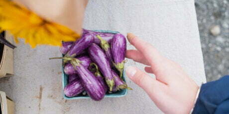 fairy tale eggplants from Full Sun Farm