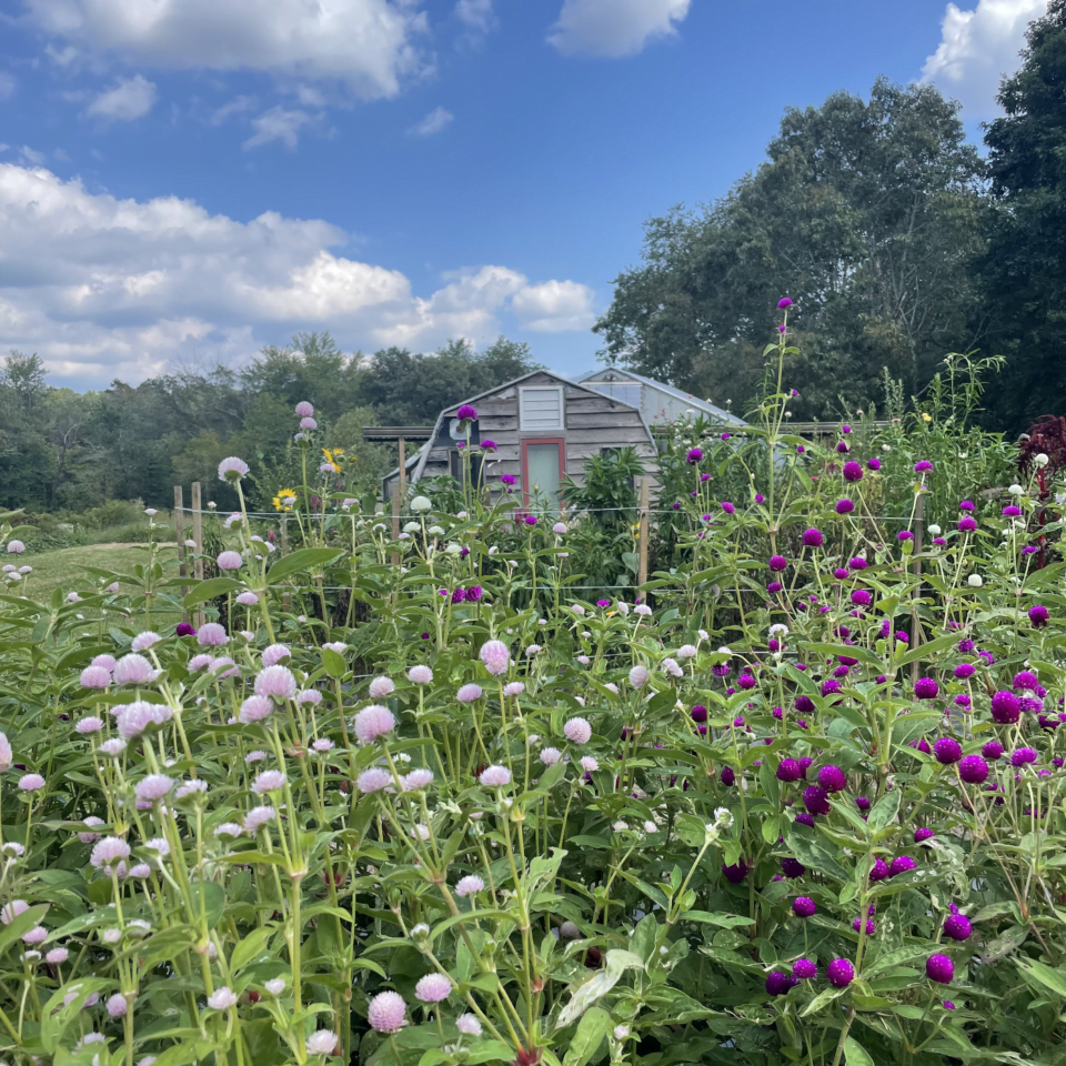 Bee-utiful Farm and Garden