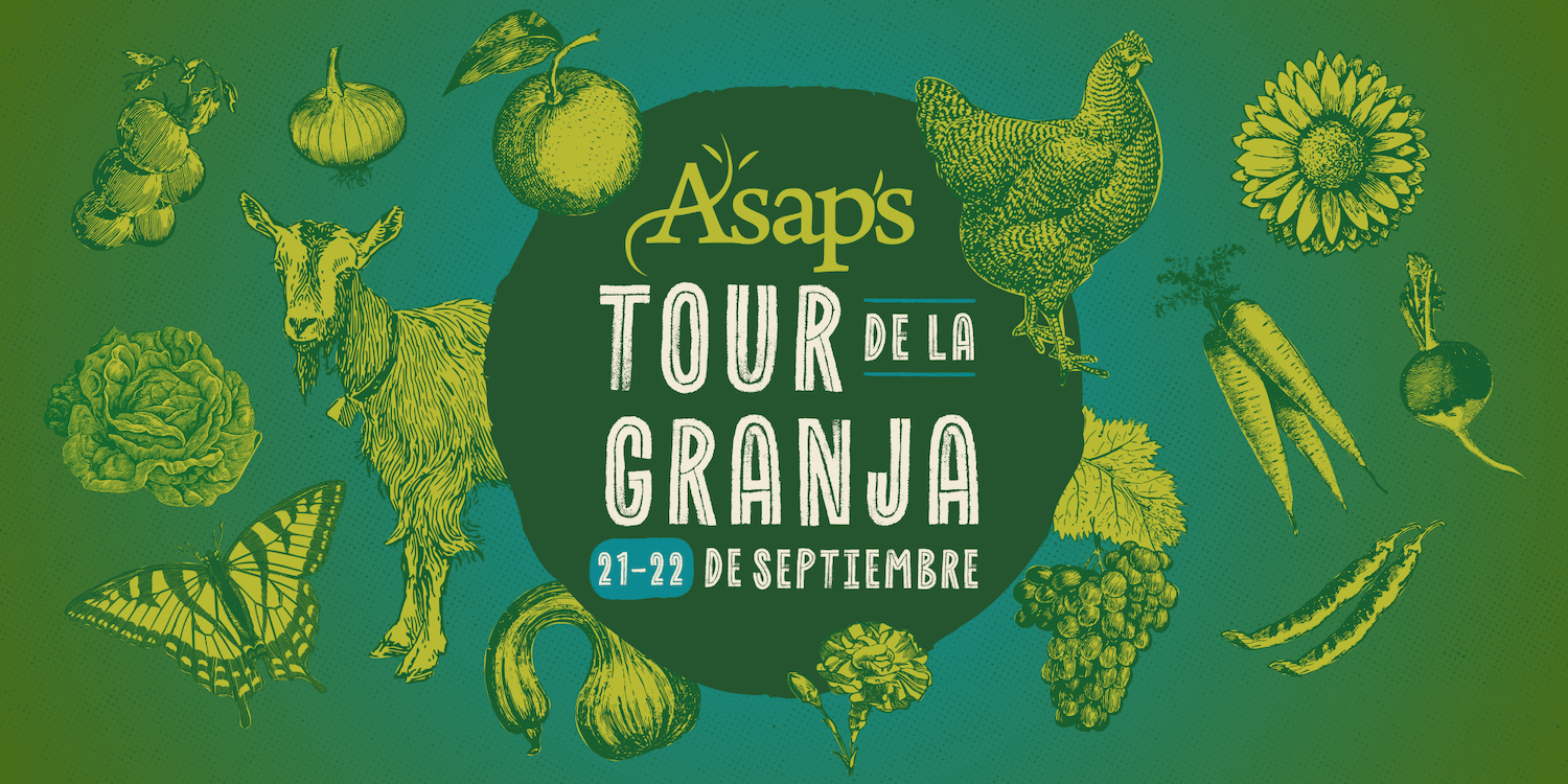 ASAP's Tour de la Granja, 21-22 de Septiembre