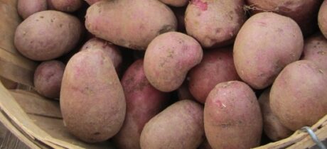 Cranberry Red Potatoes