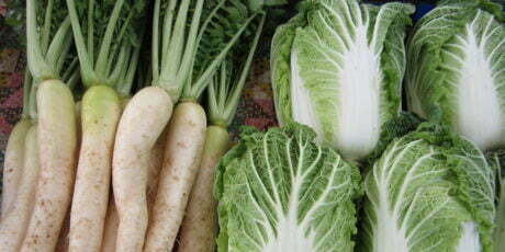 daikon radish and napa cabbage