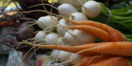 carrots, turnips, beets