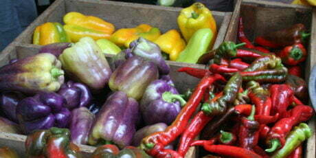 a variety of peppers from Gaining Ground Farm