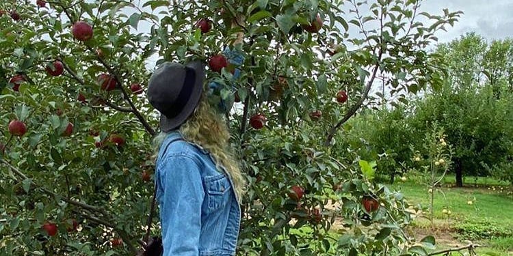 Kelsianne Bebout picking apples at Creasman Farms