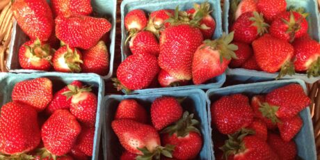 strawberries from Ivy Creek Family Farm