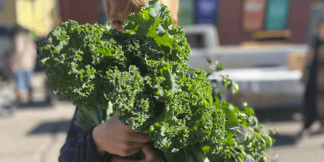 Fresh at Farmers Markets This Week