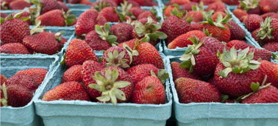 strawberries from McConnell Farms