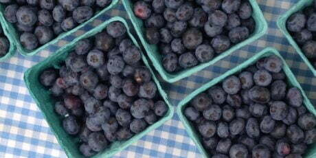 blueberries at River Arts District Farmers Market
