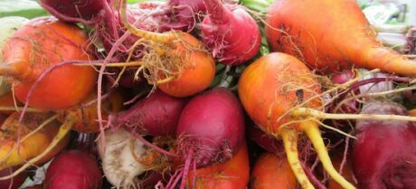 red and gold beets