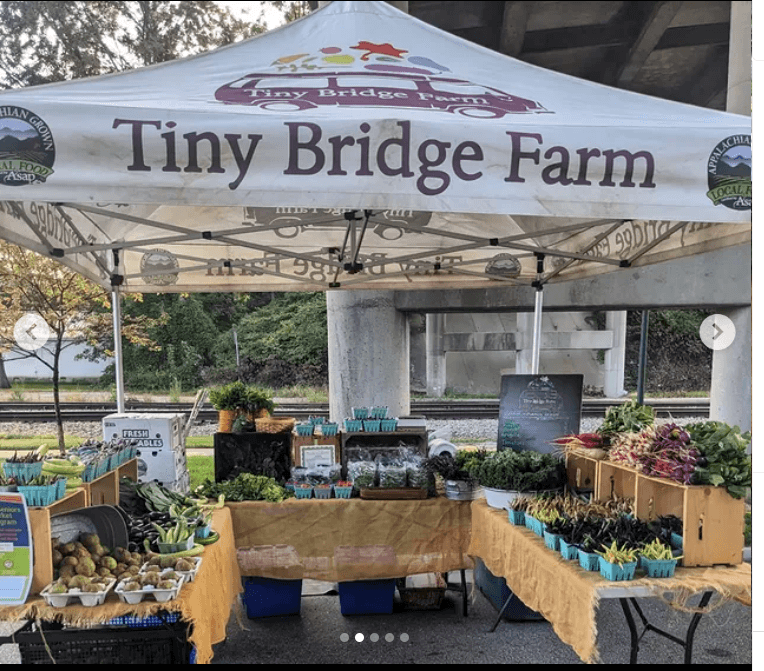 Tiny Bridge Farm