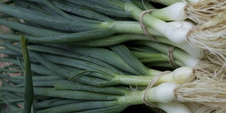 green onions at North Asheville Tailgate Market, photo by Ashley Foster
