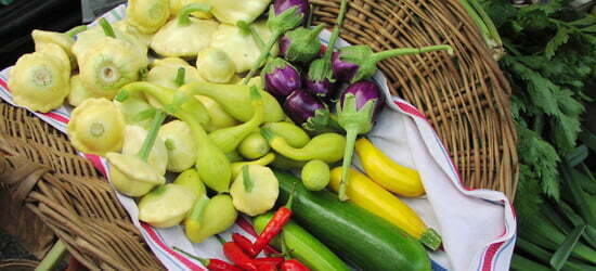 squash, eggplants, and more at farmers markets