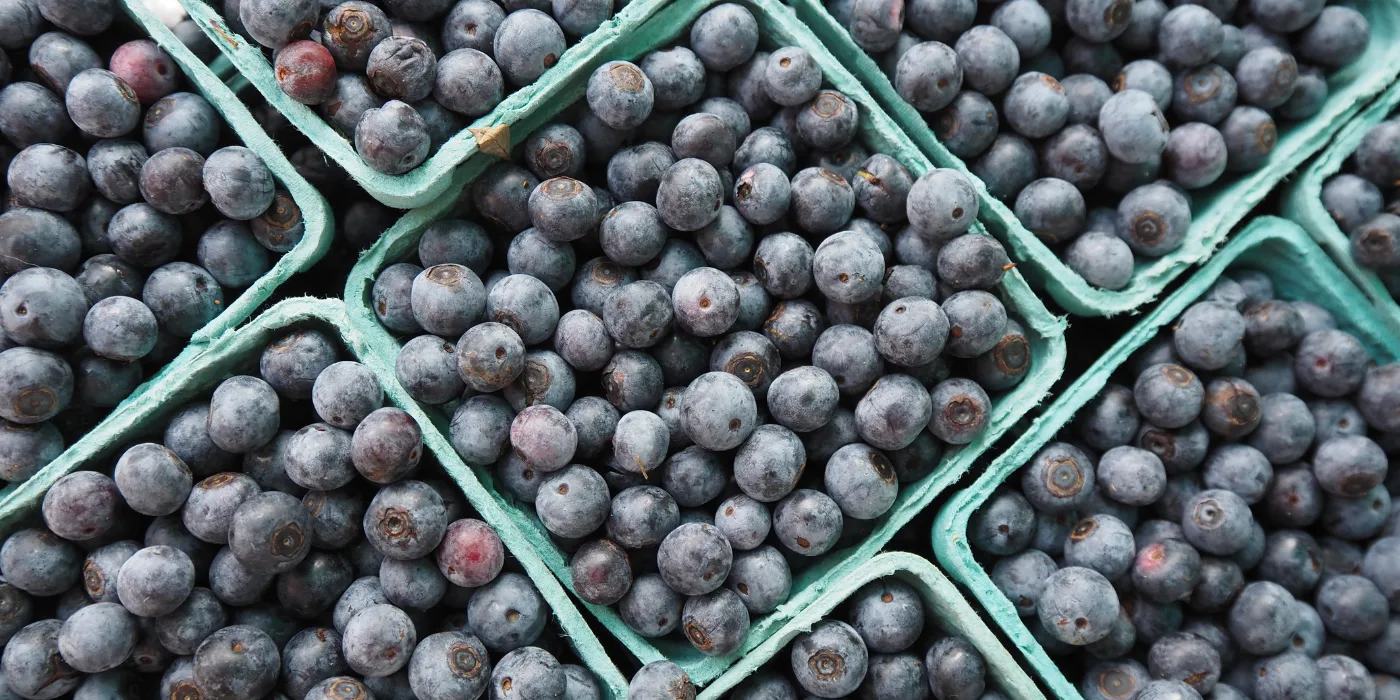 Fresh at Farmers Markets This Week