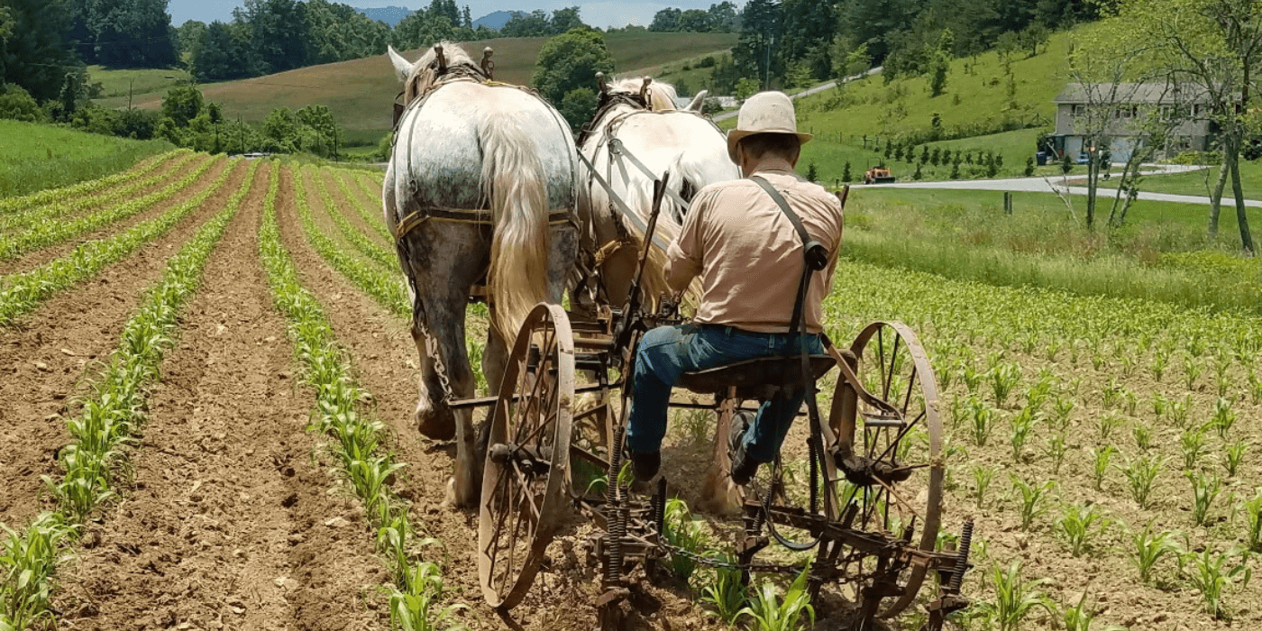 Harvesting Heritage: Keeping Southern Appalachian Foodways Alive
