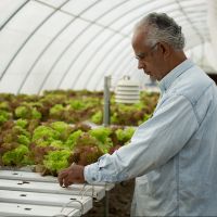 Farm Fresh Ventures