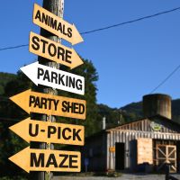 Hickory Nut Gap Farm