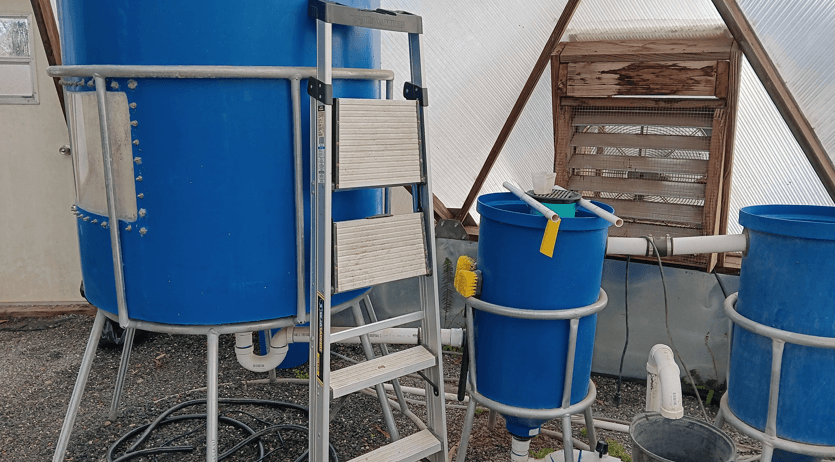 Aquaponics system