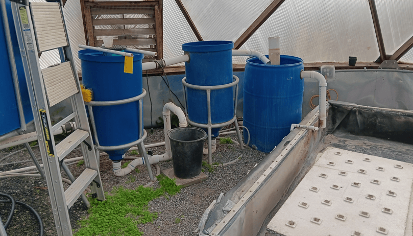 Aquaponics system