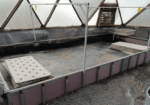 Aquaponics system