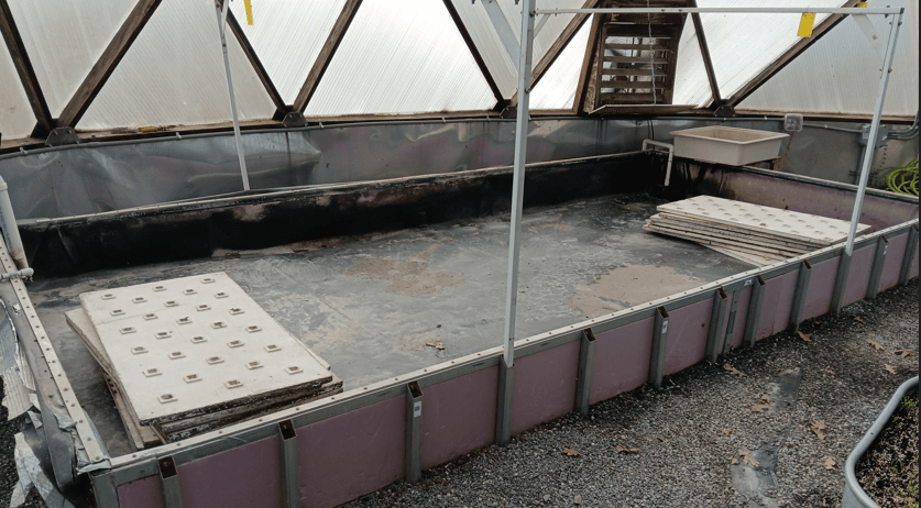 Aquaponics system