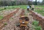 Farm Manager, Many Hands Peace Farm (Highlands, NC)