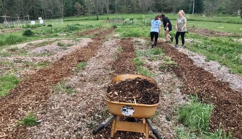 Farm Manager, Many Hands Peace Farm (Highlands, NC)