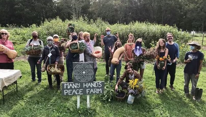 Farm Manager, Many Hands Peace Farm (Highlands, NC)