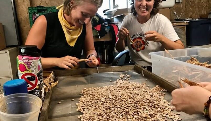 Farm Manager, Many Hands Peace Farm (Highlands, NC)