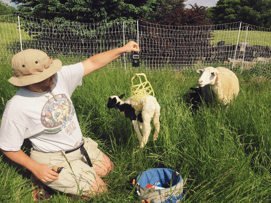 Apprentice at Weathertop Farm–a Regenerative Grazing Operation in the Virginia Blue Ridge!