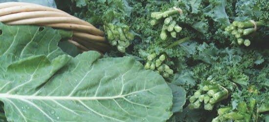 collards and kale