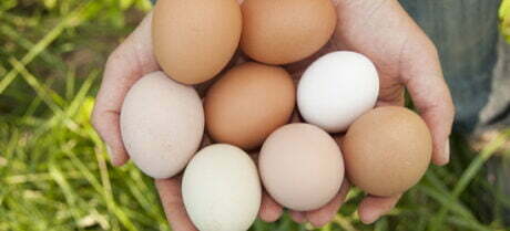 Dry Ridge Farm eggs