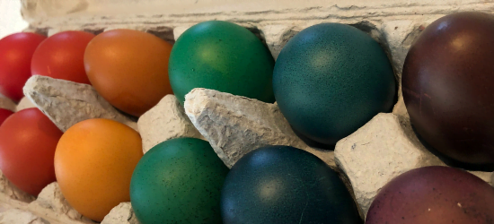 dyed brown eggs from Dry Ridge Farm