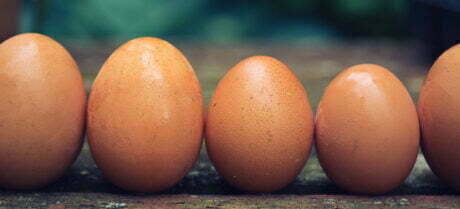 Farmers market eggs, photo by Lauren Gallagher