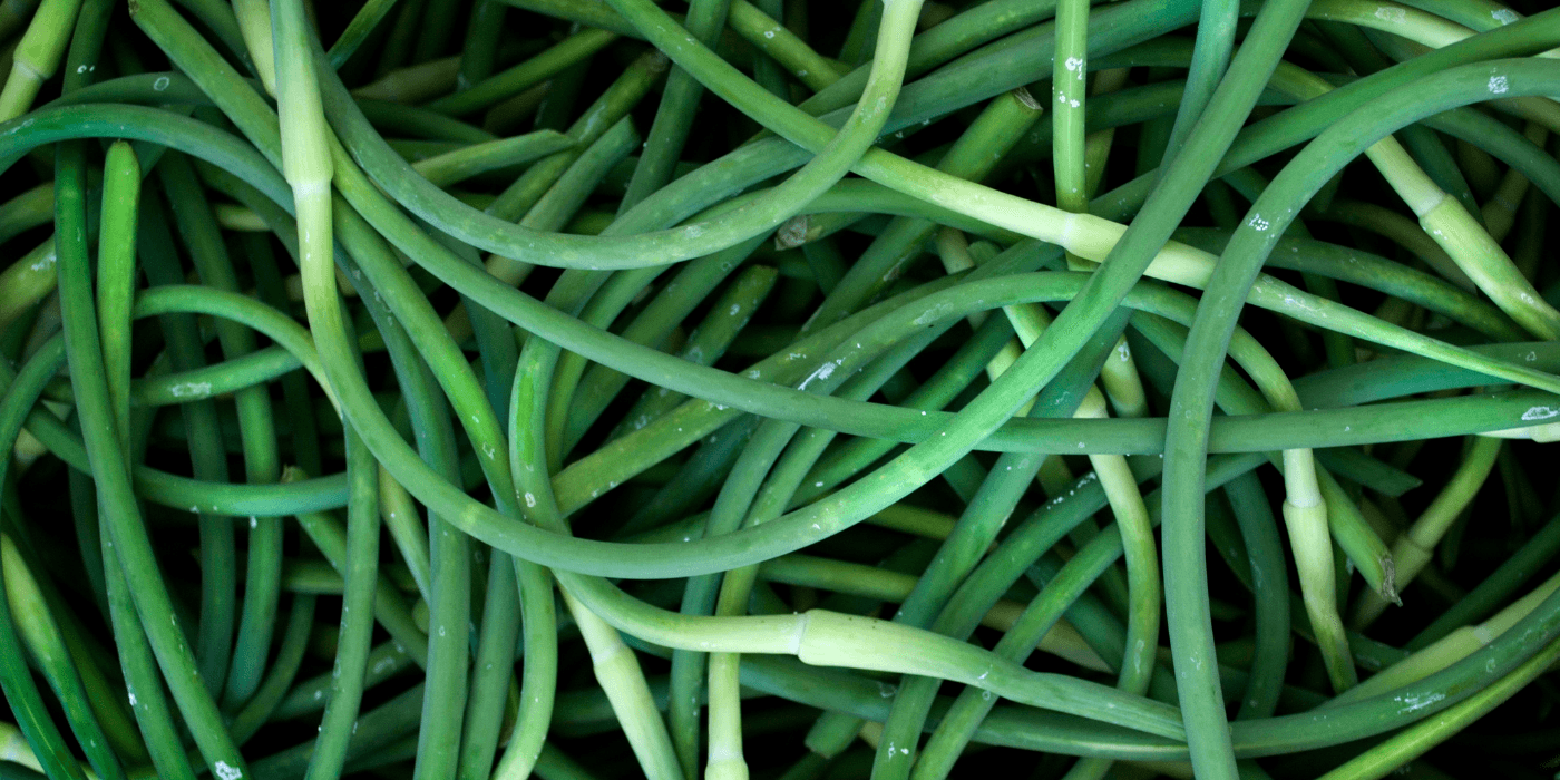 Fresh at Farmers Markets This Week