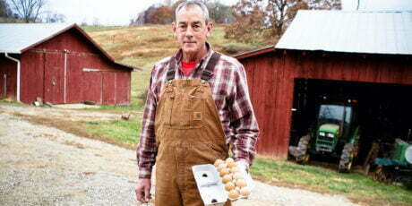 Farside Farms: From Burley Tobacco to Farm Stand Eggs