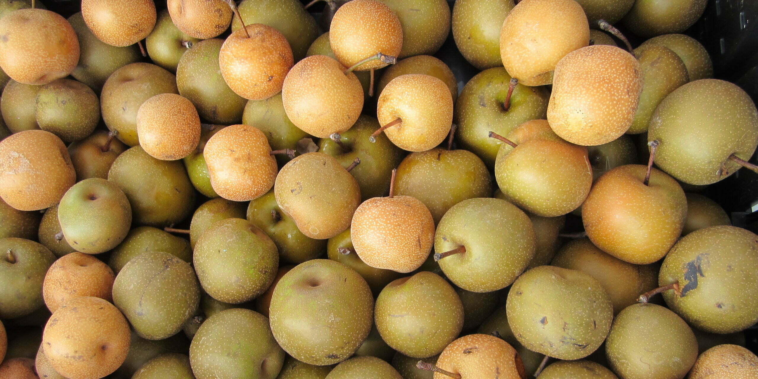 Asian pears at market