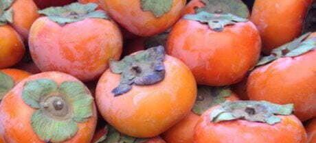 persimmons from Lee's One Fortune Farm