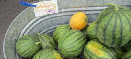 watermelon and cantaloupe from Ten Mile Farm