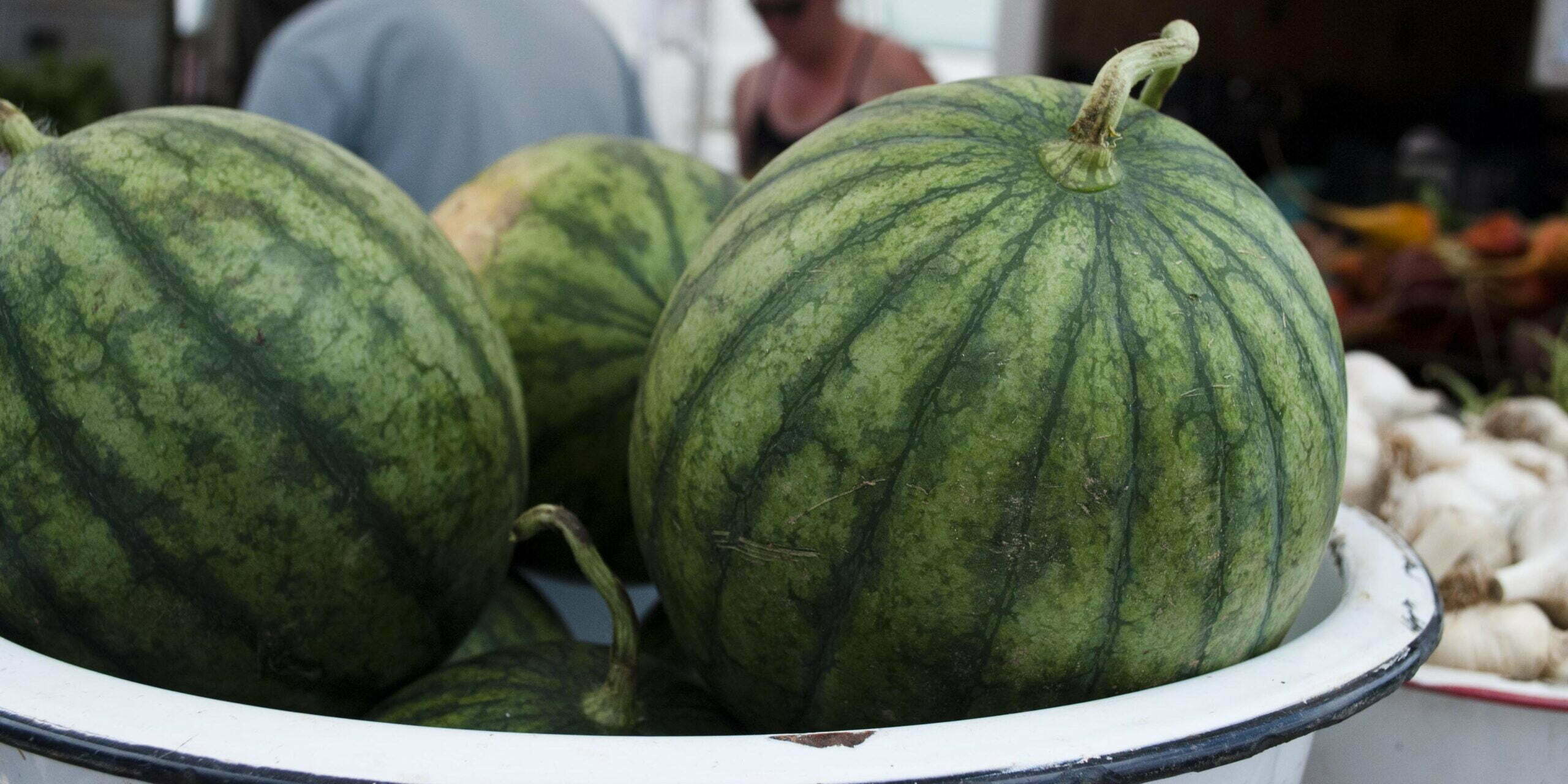 watermelon at farmers market