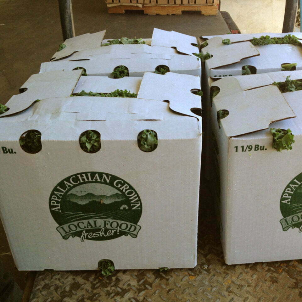 Appalachian Grown wax boxes with kale